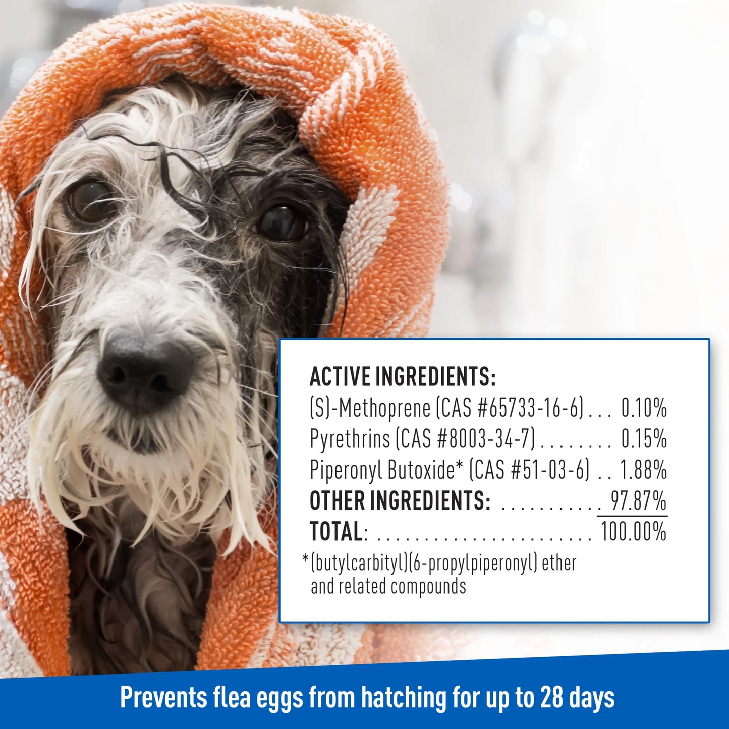 (2 Pack) plus Flea & Tick Foaming Shampoo & Wash for Dogs & Puppies over 12 Weeks, Sensitive Skin Flea Treatment, 10 Oz