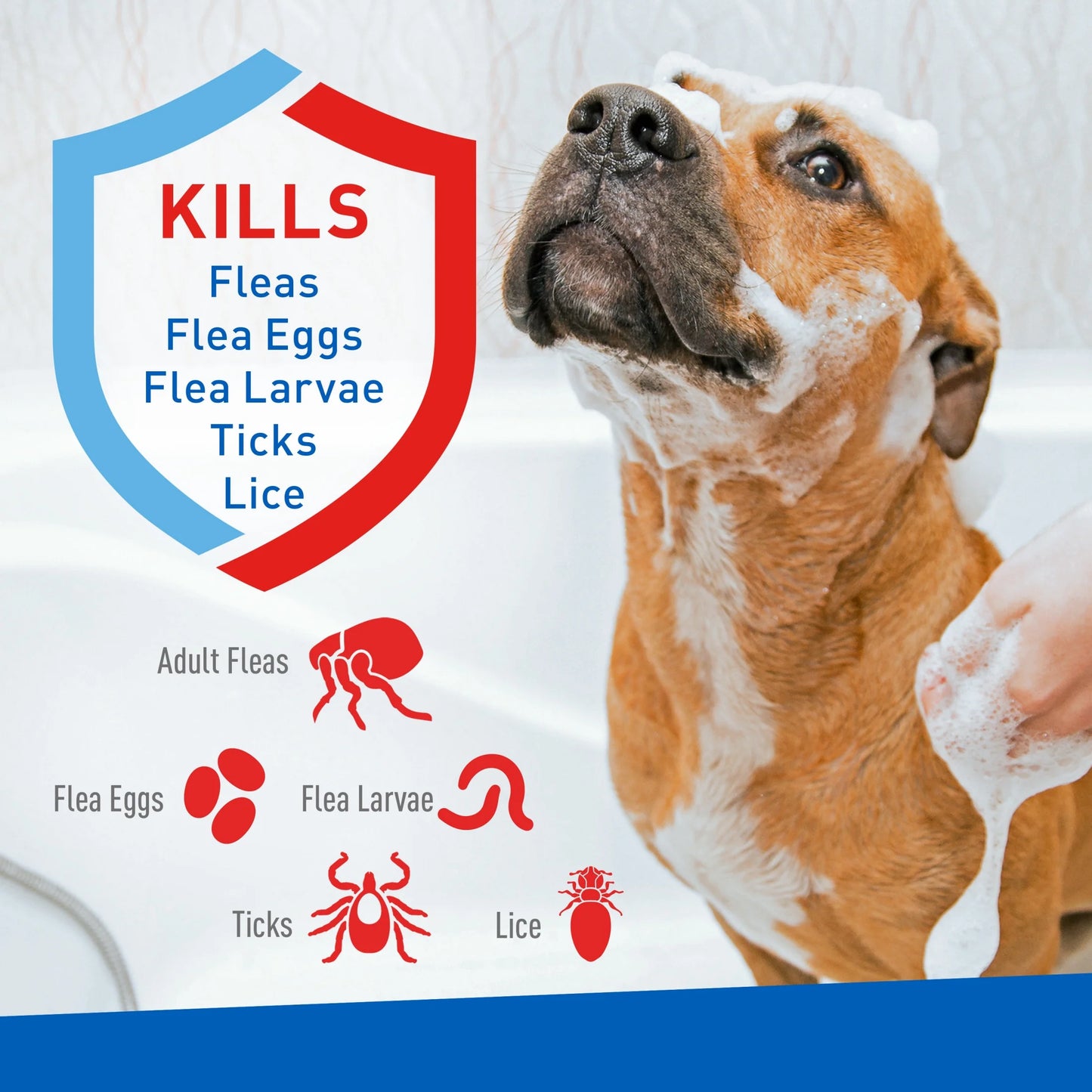 (2 Pack) plus Flea & Tick Foaming Shampoo & Wash for Dogs & Puppies over 12 Weeks, Sensitive Skin Flea Treatment, 10 Oz