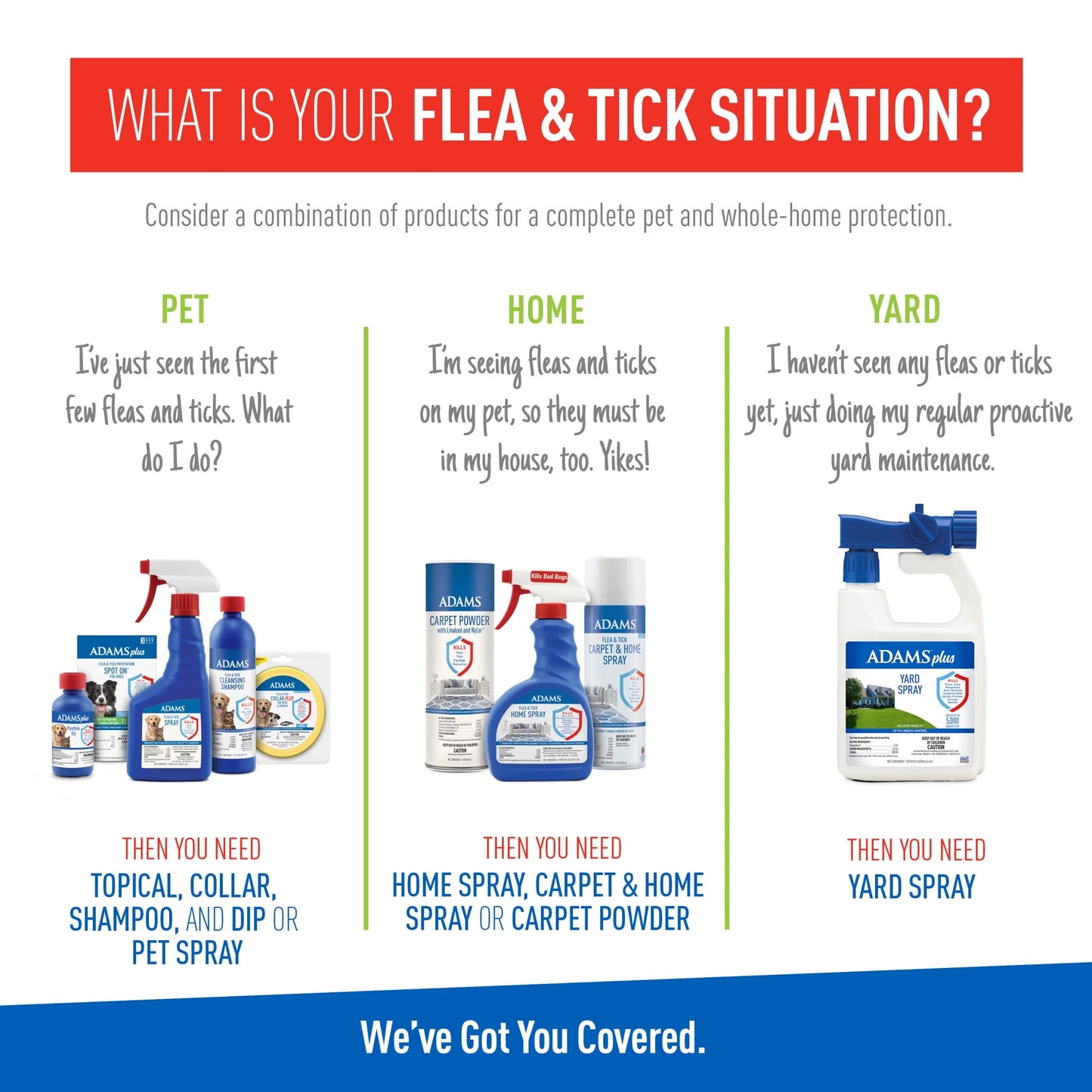 (2 Pack) plus Flea & Tick Foaming Shampoo & Wash for Dogs & Puppies over 12 Weeks, Sensitive Skin Flea Treatment, 10 Oz