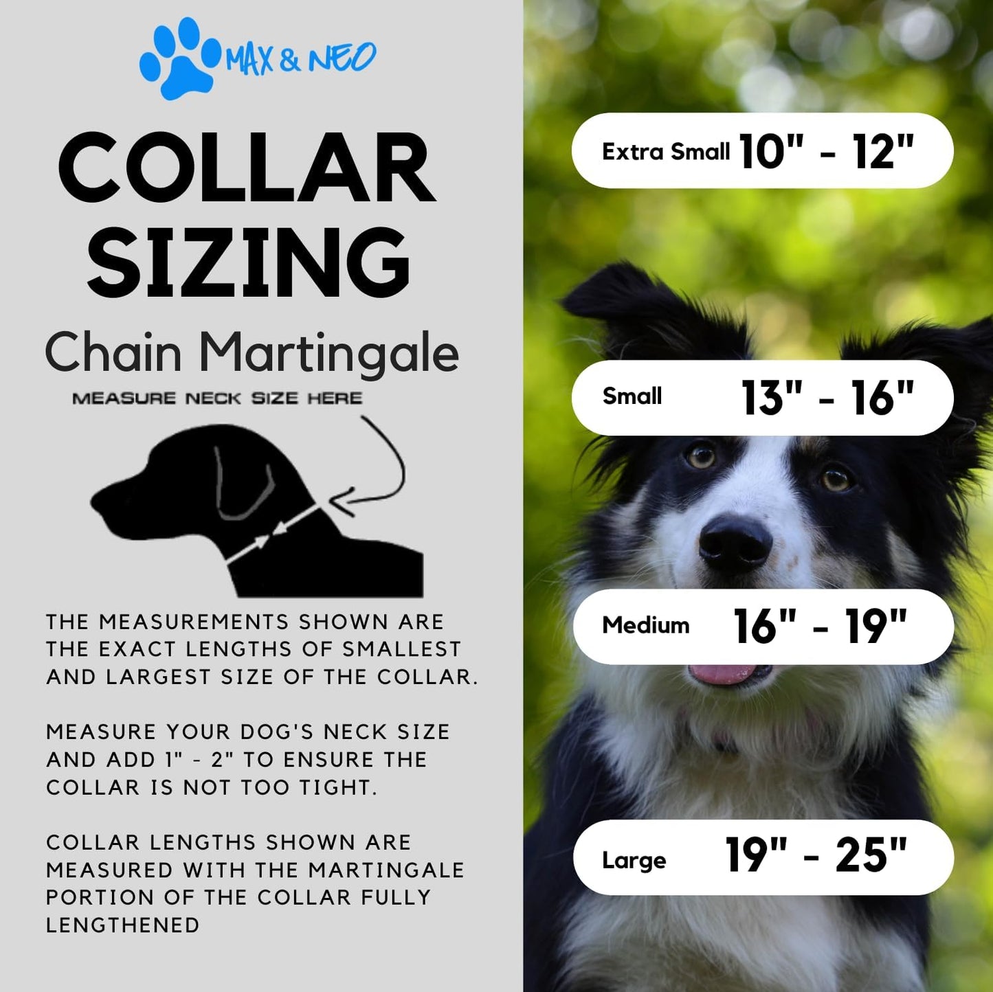 Stainless Steel Chain Martingale Collar - Supporting Dog Rescues with Every Purchase (Small, Orange)