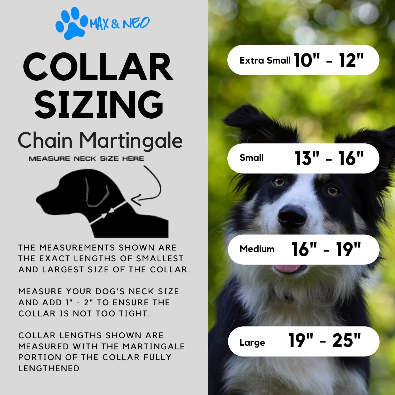 Stainless Steel Chain Martingale Collar - Supporting Dog Rescues with Every Purchase (Small, Orange)