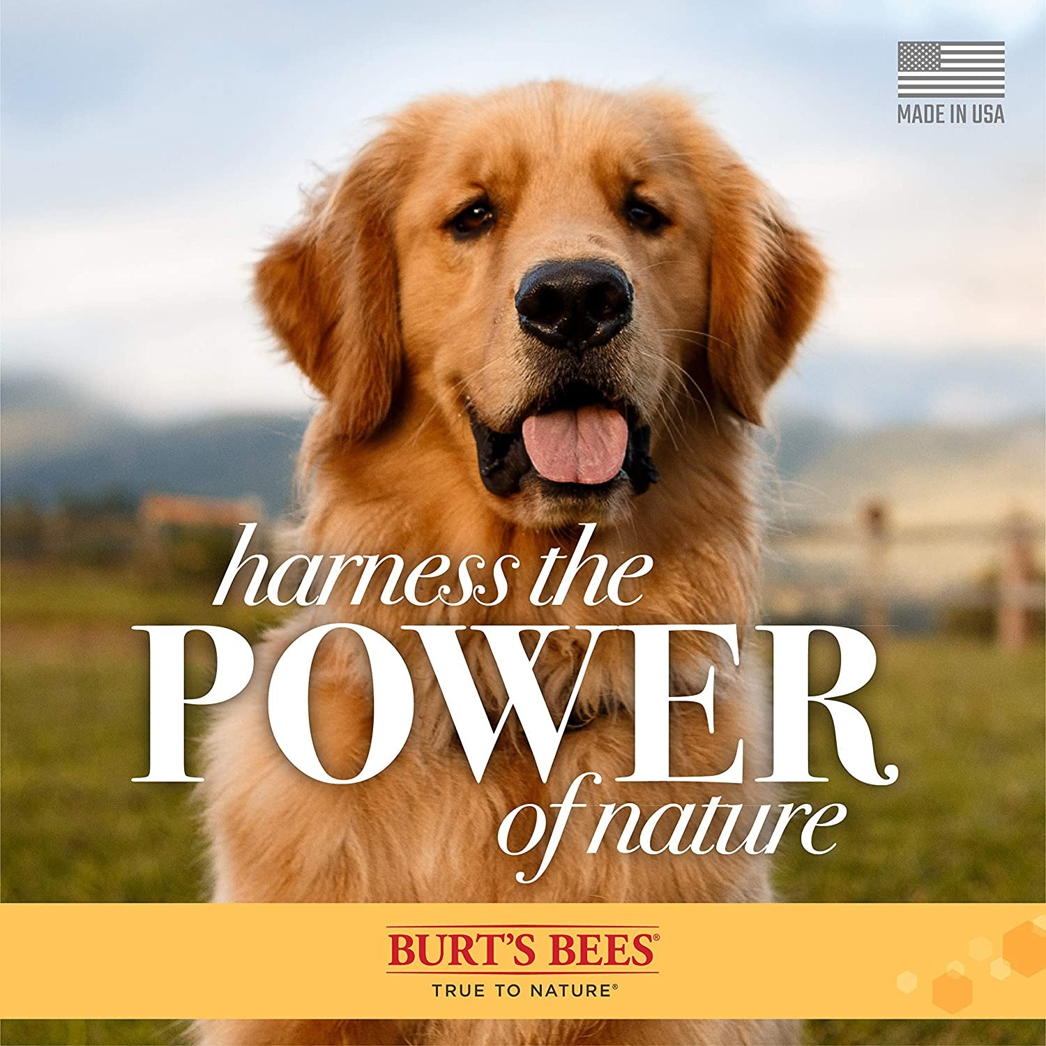 for Dogs Natural Waterless Shampoo Spray for Dogs | Made with Apple and Honey | Quick & Easy Way to Bathe Your Dog | Sulfate & Paraben Free, Made in USA | 10 Oz - 3 Pack
