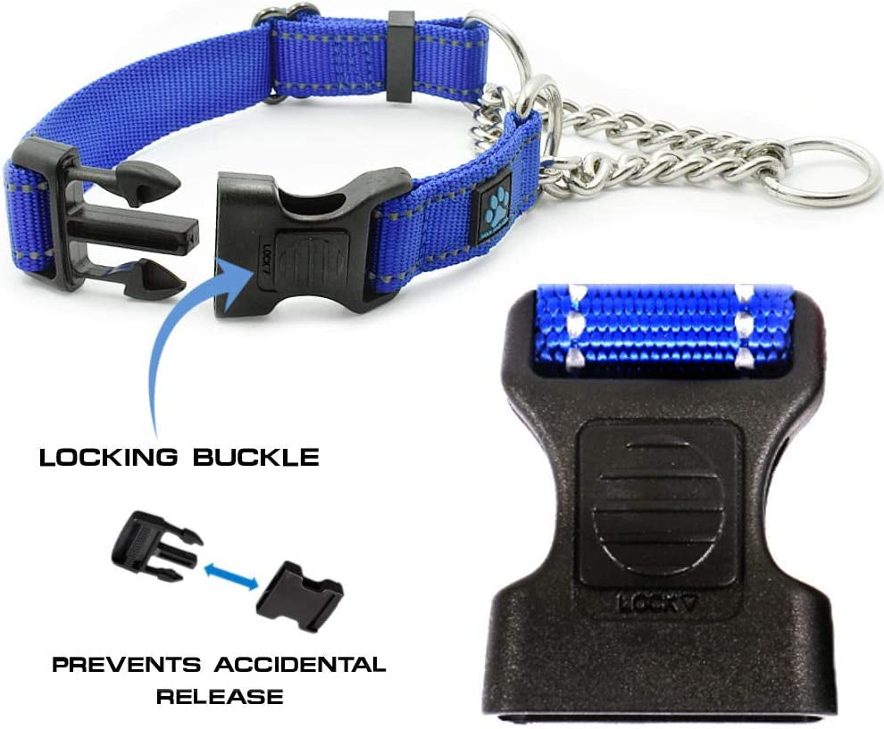 Stainless Steel Chain Martingale Collar - Supporting Dog Rescues with Every Purchase (Small, Orange)