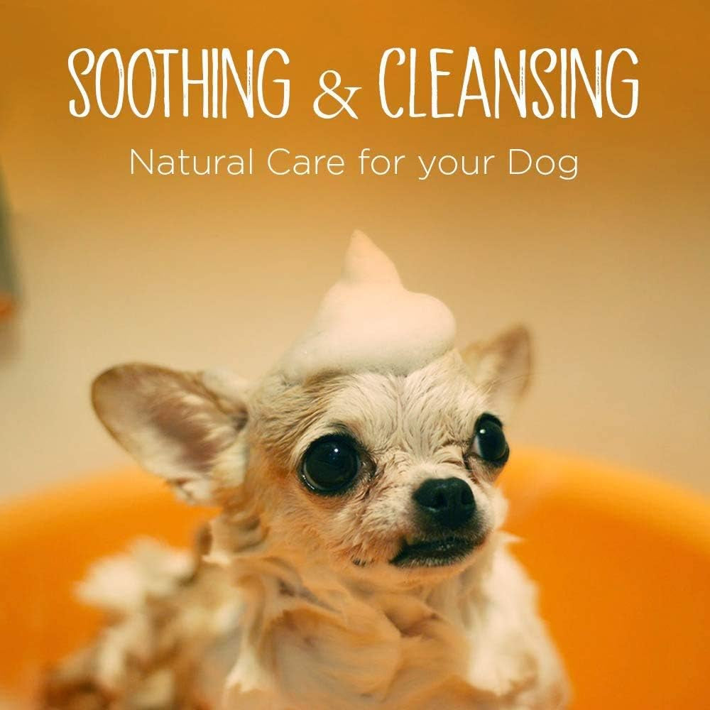 2-In-1 Dog Shampoo and Conditioner with Brush, Relief Skin Itchy Dry Dog Shampoo, All Natural Ingredients Dog Puppy Shampoo Suit Sensitive Skin Help Hair Growth Healthy-16 Oz