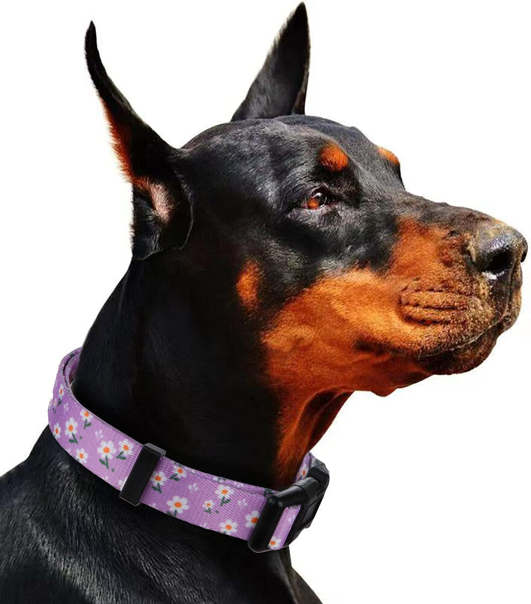 Charming Daisy Floral Dog Collar for Small Pups - Adorn Your Furry Friend in Lavender