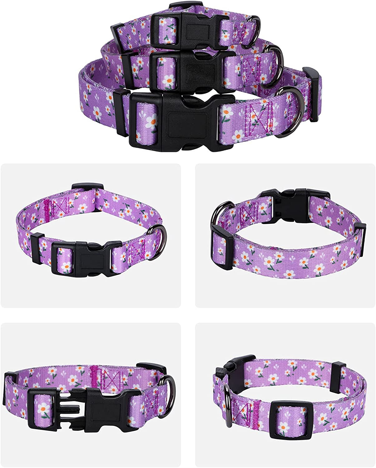 Charming Daisy Floral Dog Collar for Small Pups - Adorn Your Furry Friend in Lavender