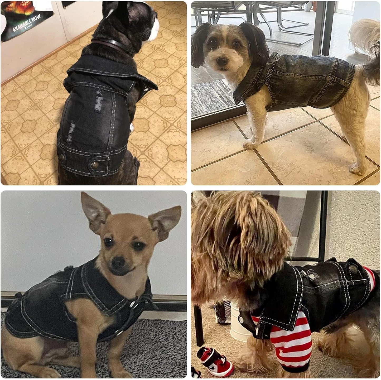 Pet Vests Dog Denim Jacket Hoodies Puppy Jacket for Small Medium Dogs (XS, Black)