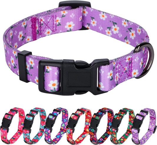 Charming Daisy Floral Dog Collar for Small Pups - Adorn Your Furry Friend in Lavender