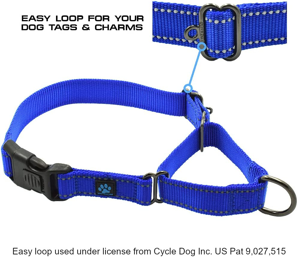 Nylon Martingale Collar - We Donate a Collar to a Dog Rescue for Every Collar Sold (Medium, Pink)