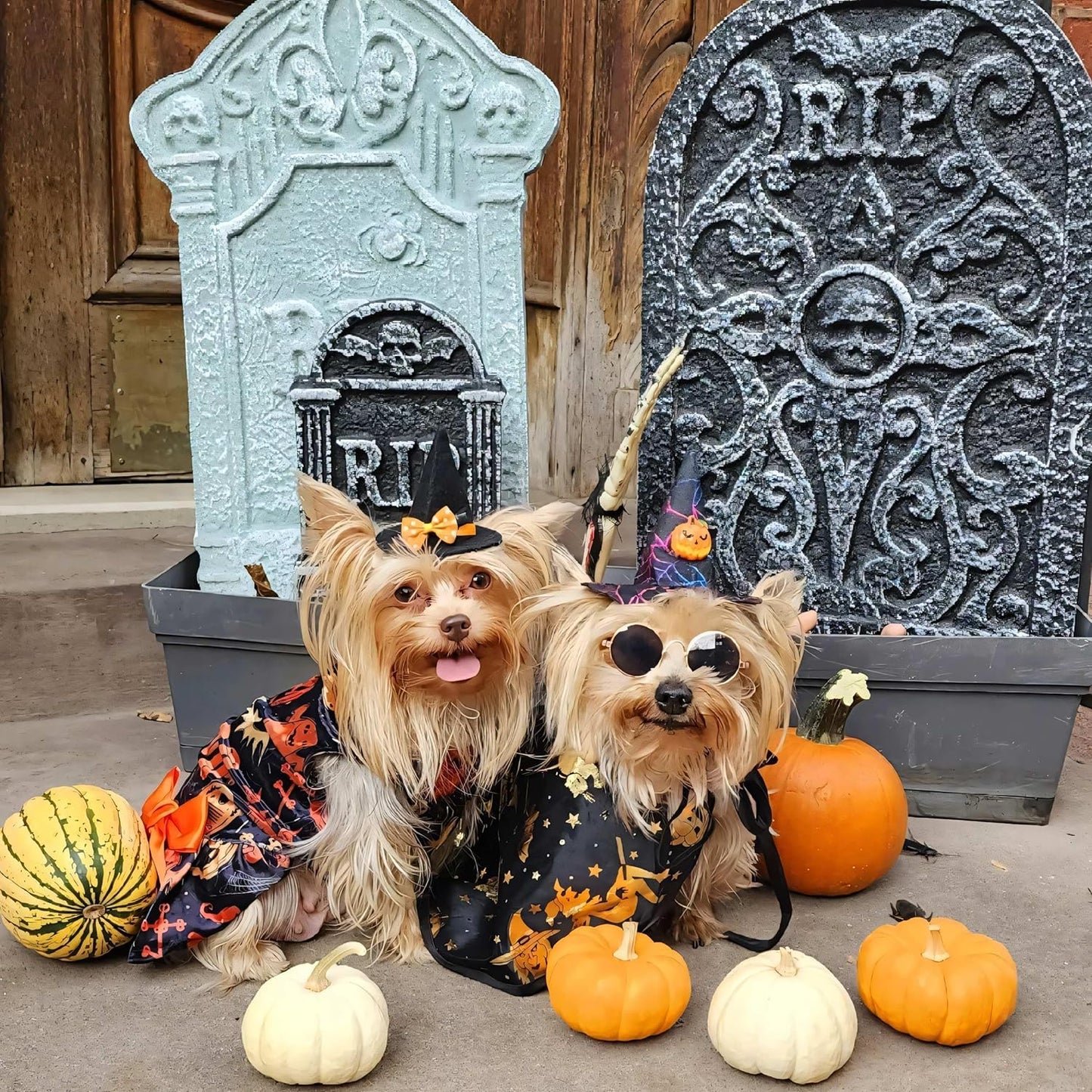 Halloween Lightweight Velvet Clothes Dog Costume Puppy Dress Doggie Party Girl One Piece with Bowknot Holiday Cat Outfits Black Xx-Small