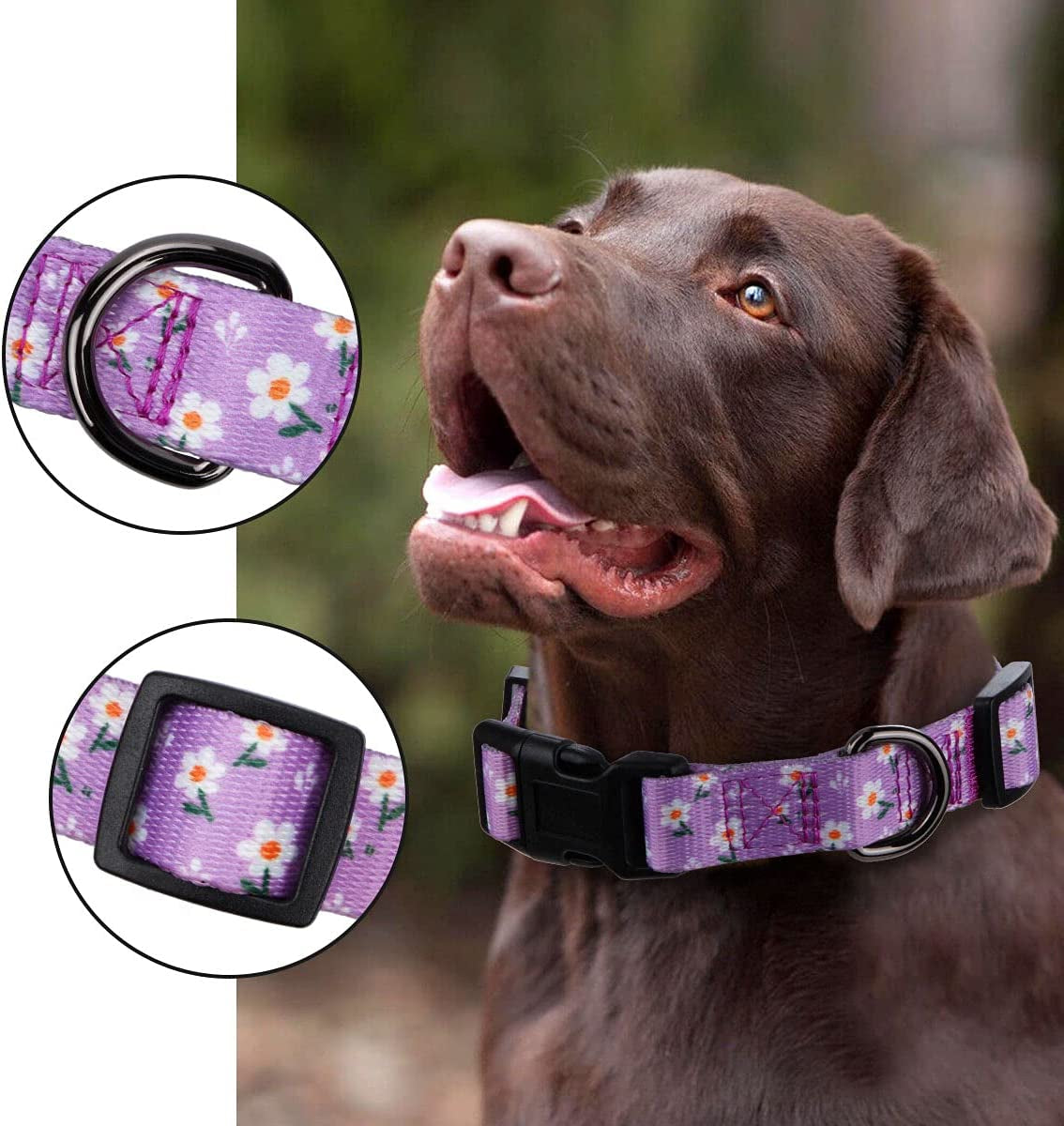 Charming Daisy Floral Dog Collar for Small Pups - Adorn Your Furry Friend in Lavender