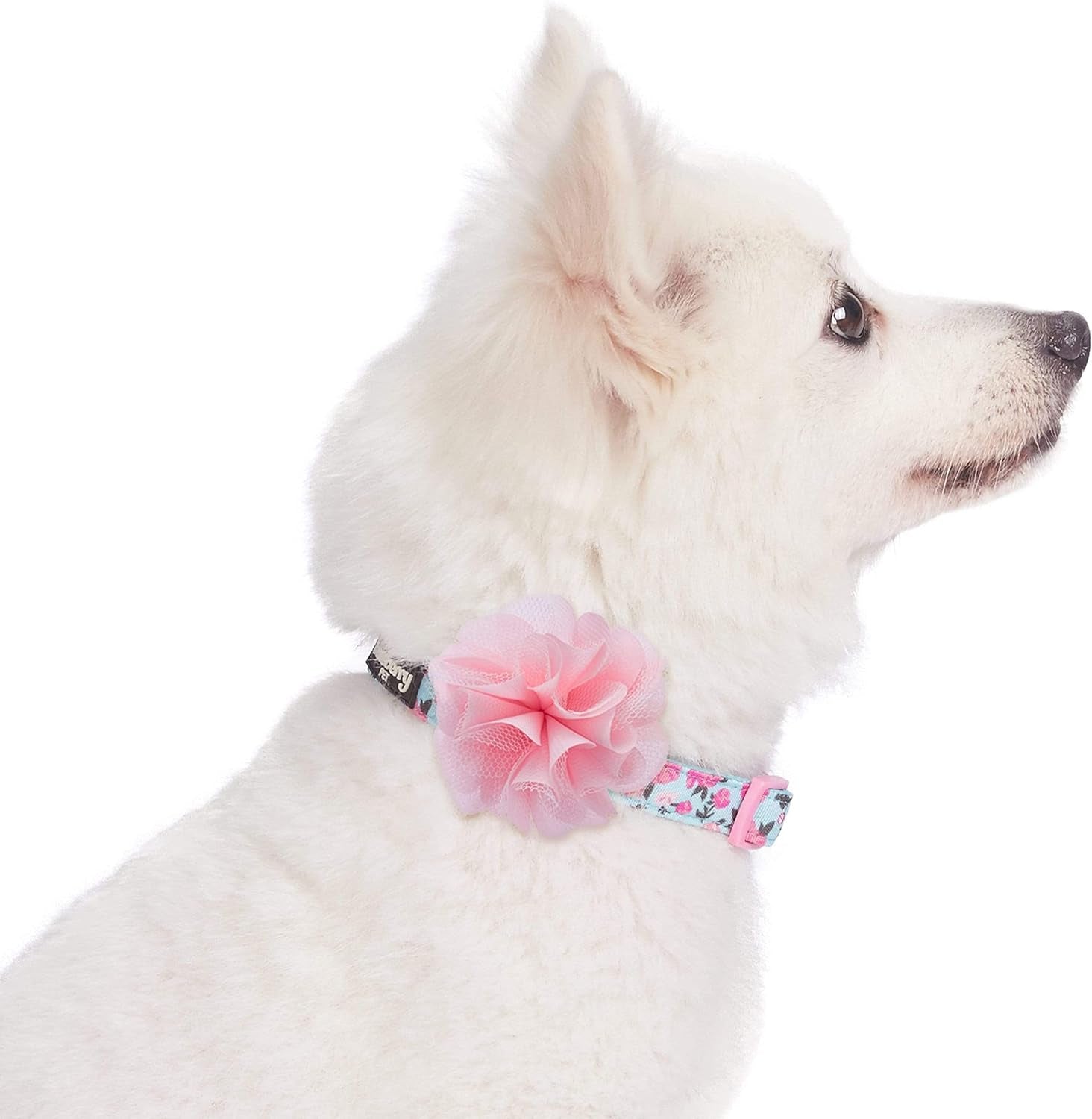Chic Floral Adjustable Dog Collar in Light Blue with Pink Silk Flower - Perfect for Small Dogs, Neck 7.5-10"!