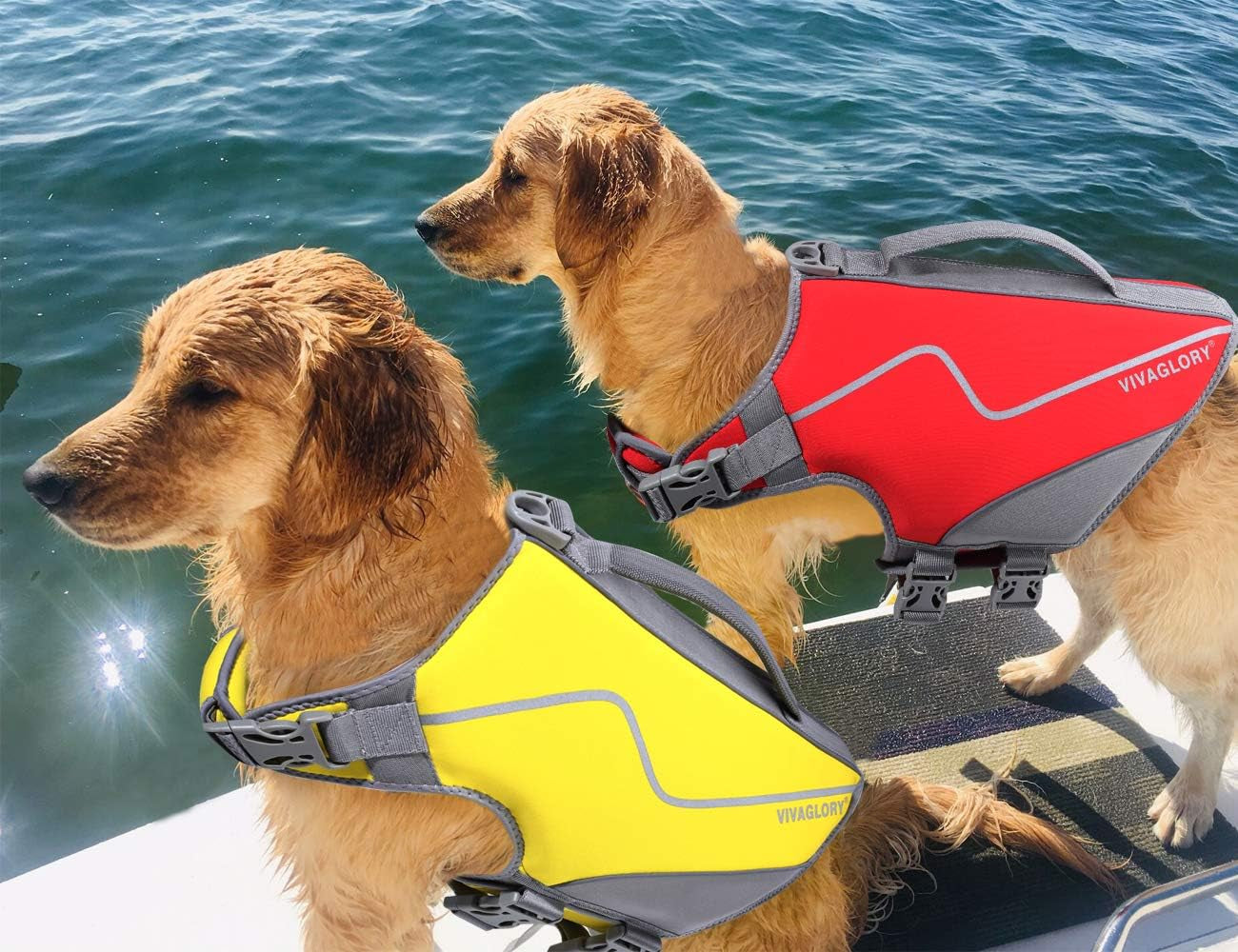 Neoprene Dog Life Jacket Doggy Life Jacket for Boating Hunting & Swimming, Lightweight with Leash Ring, M, Red