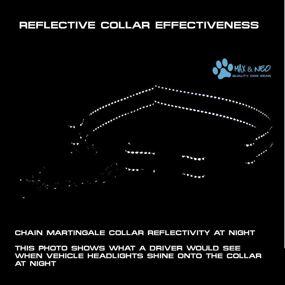Stainless Steel Chain Martingale Collar - Supporting Dog Rescues with Every Purchase (Small, Orange)