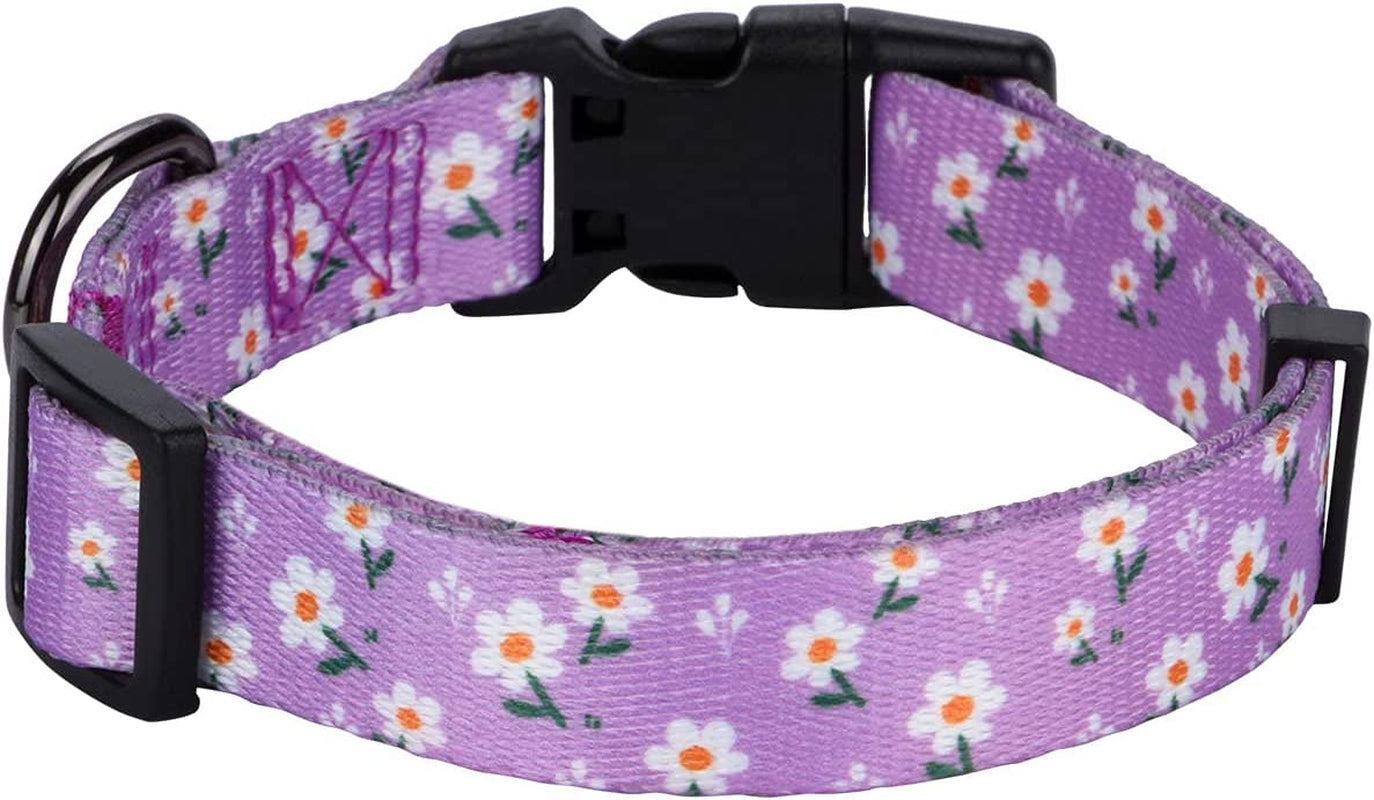 Charming Daisy Floral Dog Collar for Small Pups - Adorn Your Furry Friend in Lavender